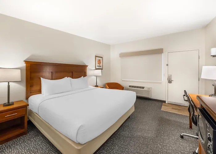 Best Western Driftwood Inn